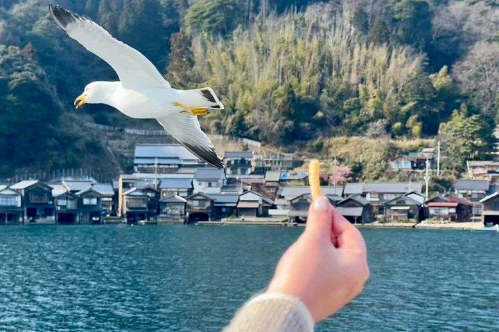 Amanohashidate & Ine dagstur med linbana och båt