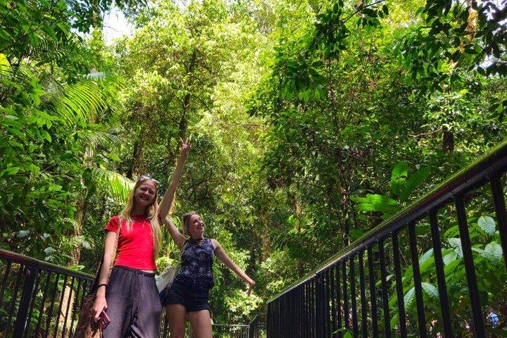 Cape Tribulation, Mossman Gorge e Daintree Rainforest Day Tour