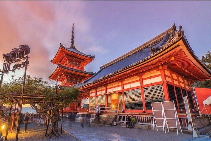 大阪発 京都・奈良プライベート10時間日帰りツアー