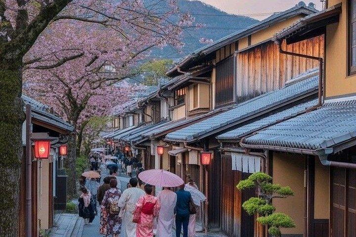 大阪発 京都・奈良プライベート10時間日帰りツアー