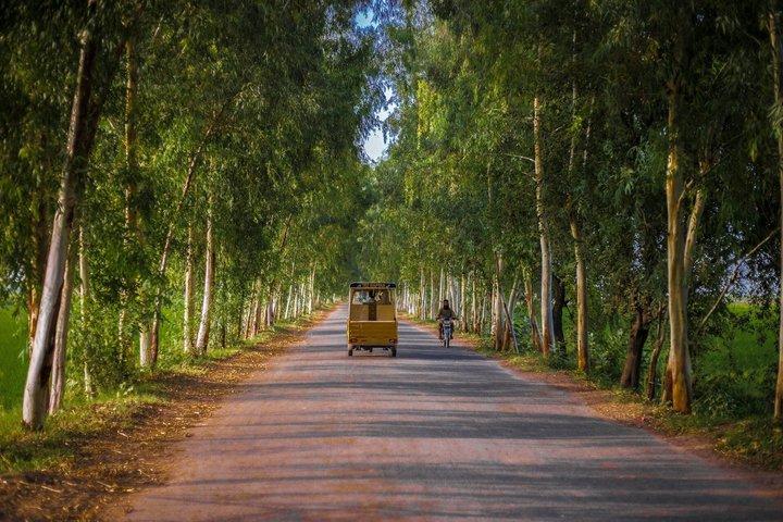 Amritsar Village Tour with Farm Traditional Attire and Local Meal