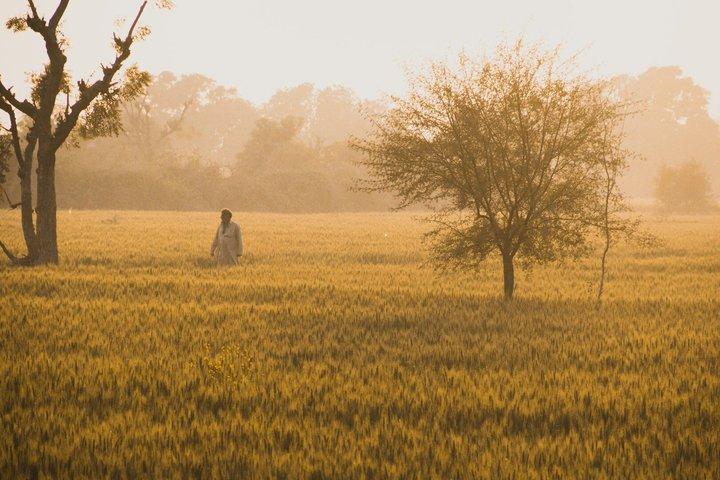 Amritsar Village Tour with Farm Traditional Attire and Local Meal