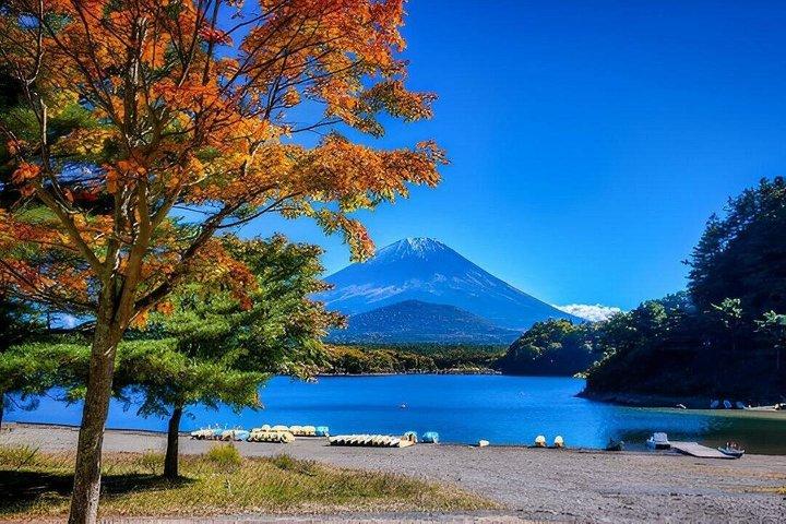 Seværdigheder i Fuji Five Lakes