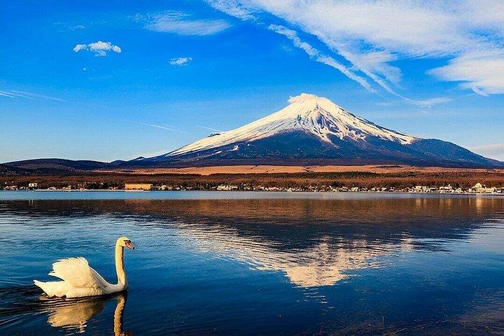 Seværdigheder i Fuji Five Lakes