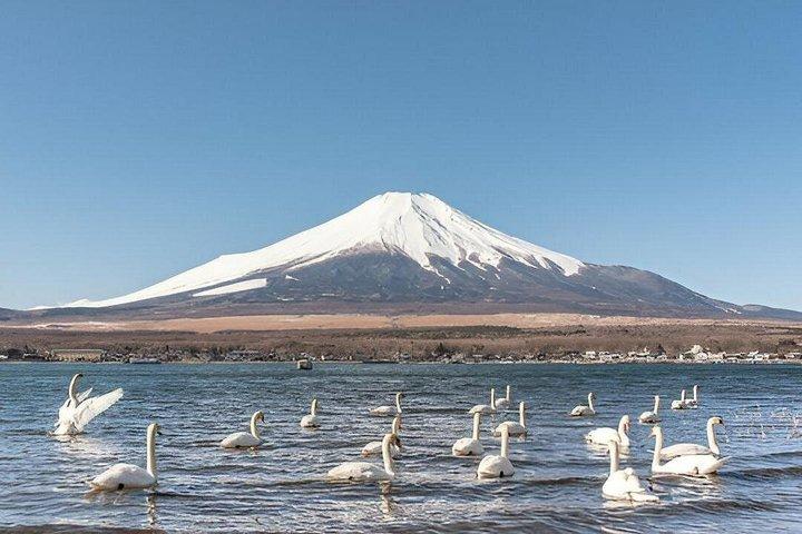 Seværdigheder i Fuji Five Lakes