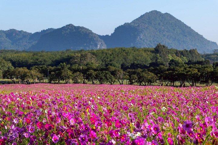 サンセット熱気球（ゴルフカート付き）