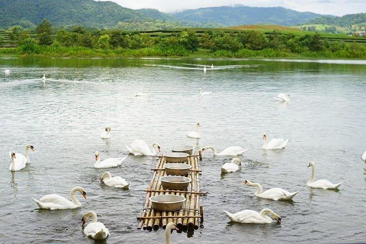 サンセット熱気球（ゴルフカート付き）