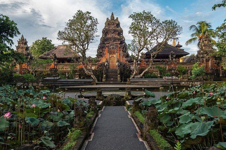 Tour privato a Ubud con pranzo
