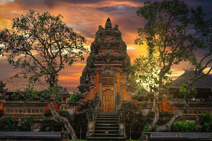 Tour privato a Ubud con pranzo