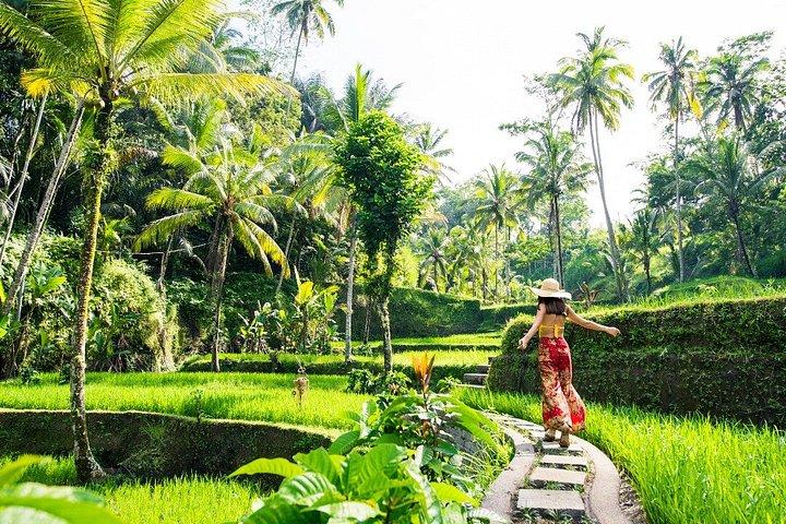 Tour privato a Ubud con pranzo