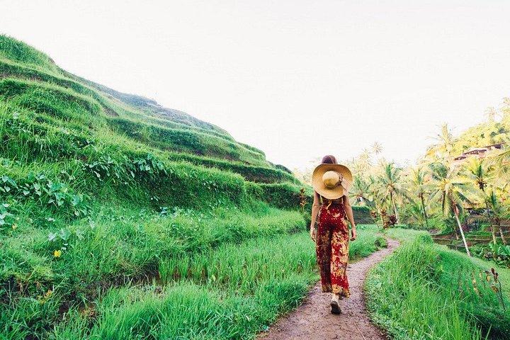Tour privato a Ubud con pranzo