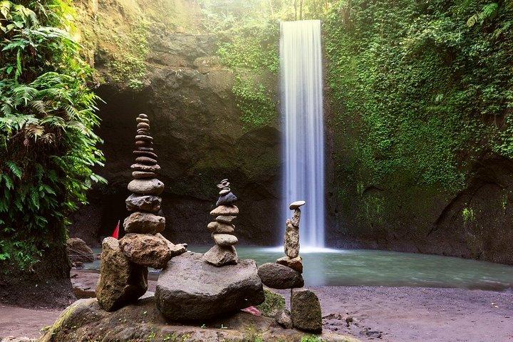 Tour privato a Ubud con pranzo