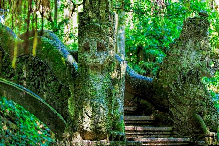 Tour privato a Ubud con pranzo