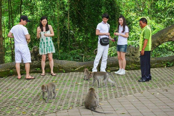 Tour privato a Ubud con pranzo
