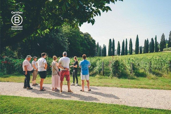 Amarone Wine Tasting Tour from Verona with Private Transportation
