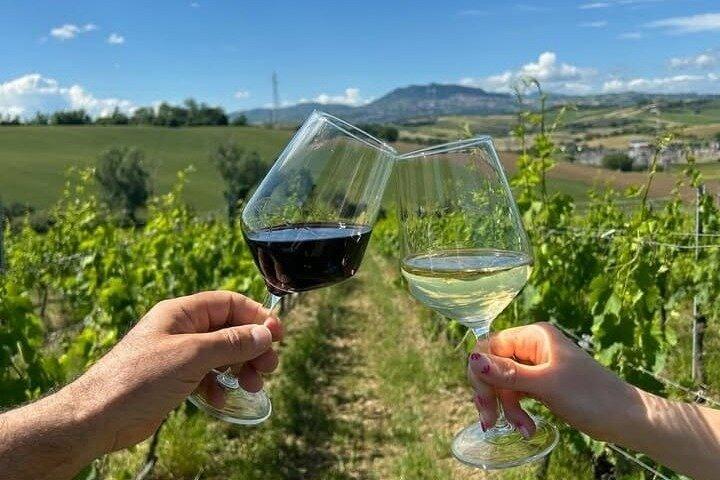 Degustazione di Vino Biologico e Cibo Locale con Vista vicino Rimini