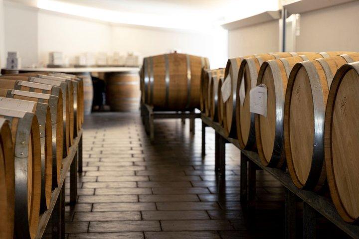 Degustazione di Vino Biologico e Cibo Locale con Vista vicino Rimini