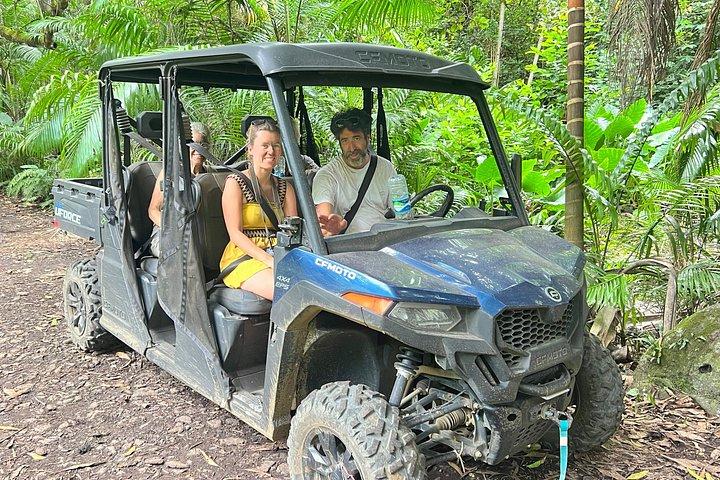 Buggy Tour South of Mauritius