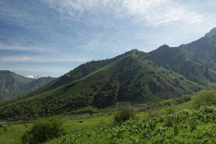 ディスカバー・アミルソイ,チムガン&チャーヴァク「日帰りプライベート山旅」