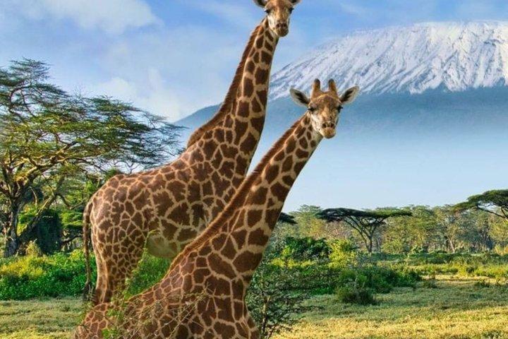 Tagestour zum Lake Nakuru Nationalpark von Nairobi