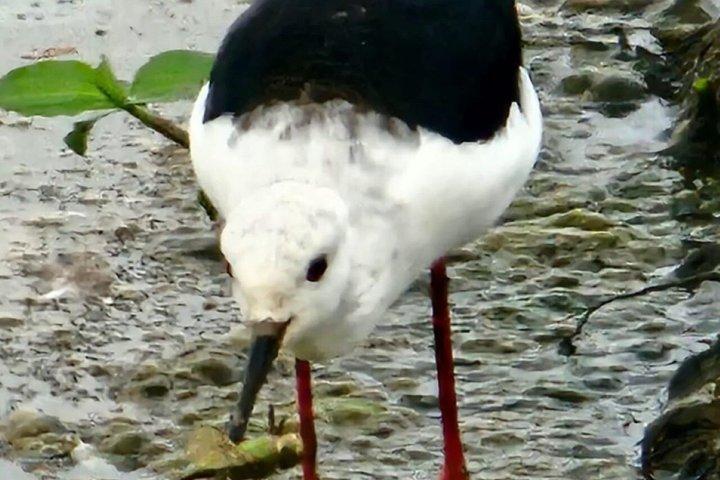 Tagestour zum Lake Nakuru Nationalpark von Nairobi