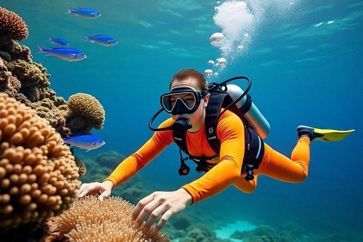 En dag dykning i Røde Hav med Transfer og Lunch-hurghada
