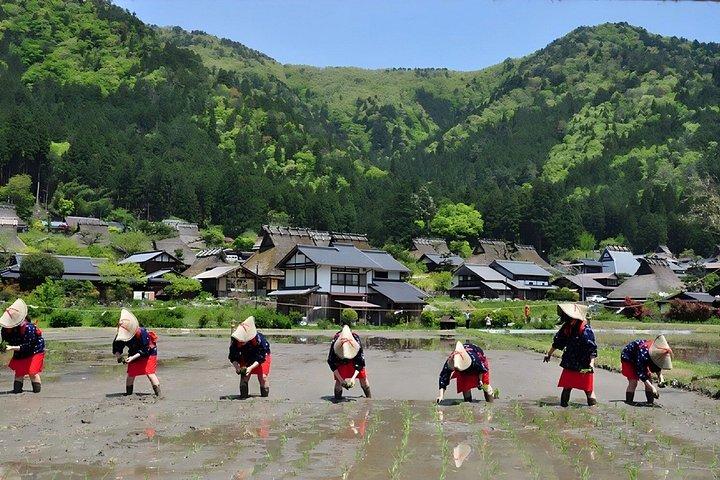 美山村・天橋立・伊根船屋日帰りツアー