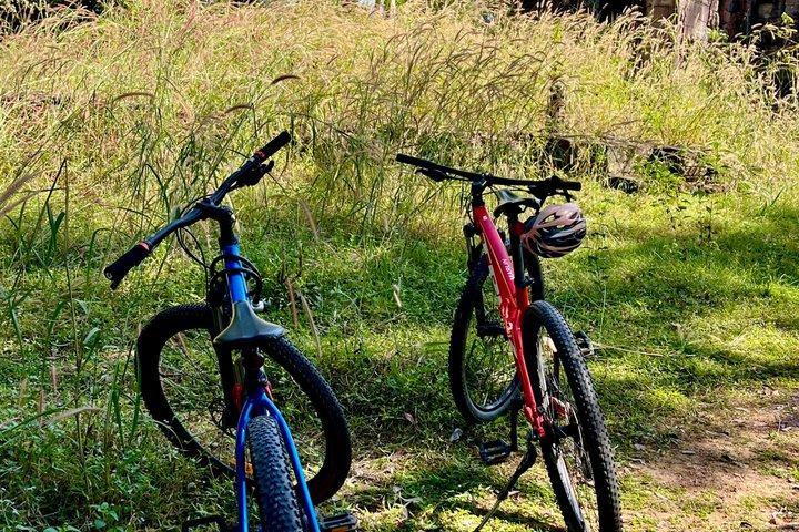 Private Angkor Wat Bike Tour Templo escondido e trilhas da selva