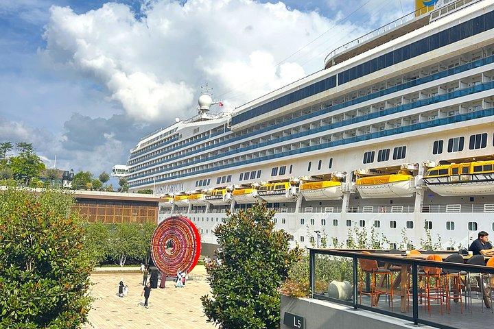 Private Transfer from Istanbul Cruise Port to Istanbul Hotels