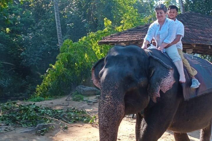 Excursion privée d'une journée à Kandy et Pinnawala au départ de Colombo