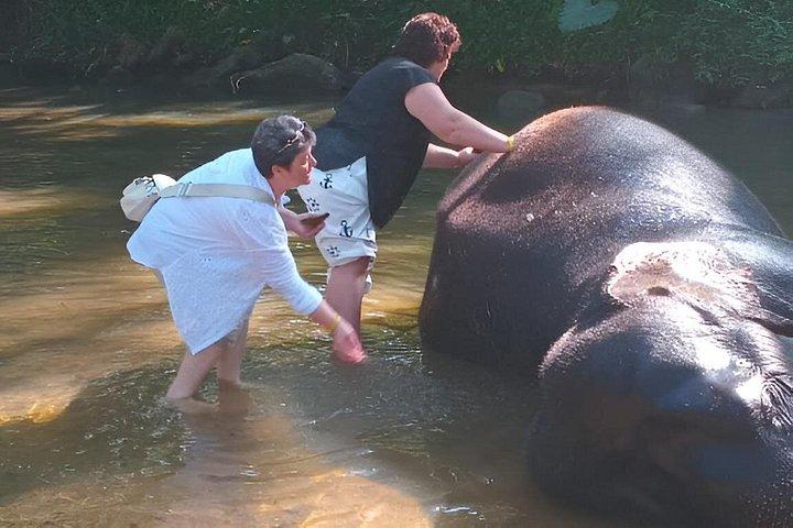 Private Kandy & Pinnawala Day Tour from Colombo