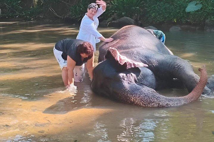 Private Kandy & Pinnawala Day Tour from Colombo