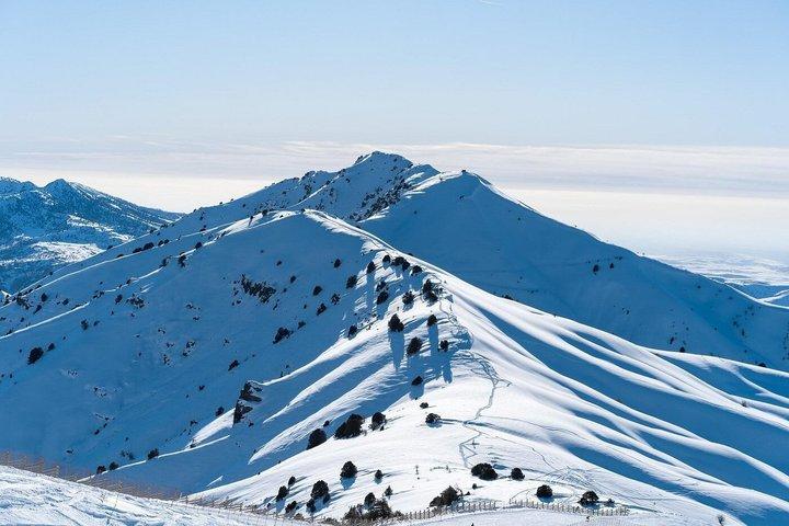 ディスカバー・アミルソイ,チムガン&チャーバック「日帰り山旅」