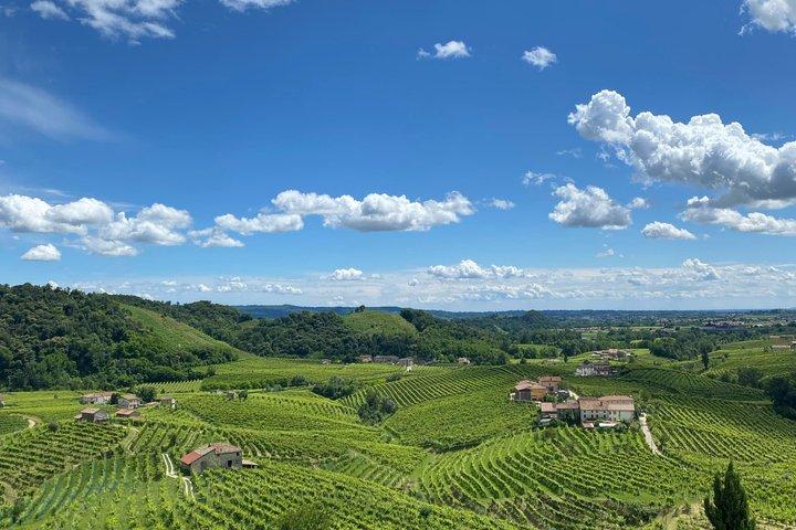 Tour nelle Colline del Prosecco da Padova
