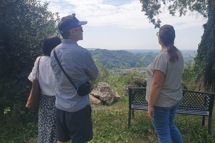 Prosecco-Hügel-Tour von Padua