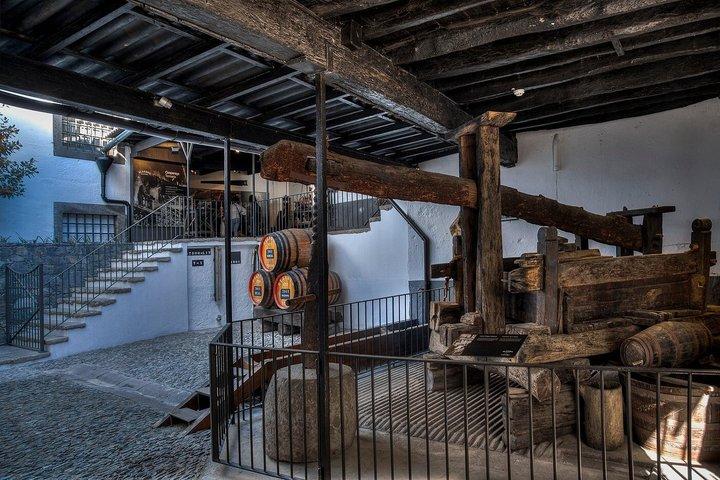 Madeira Wine Guided Tour e degustação de queijo