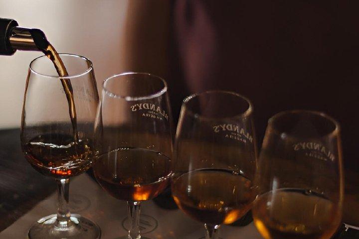 Madeira Wine Guided Tour