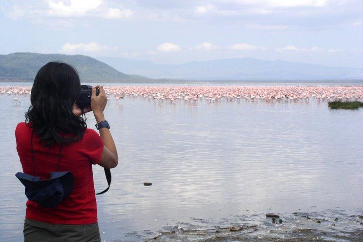 Tour di 2 giorni di fenicottero al lago di Bogoria e al lago Nakuru da Nairobi