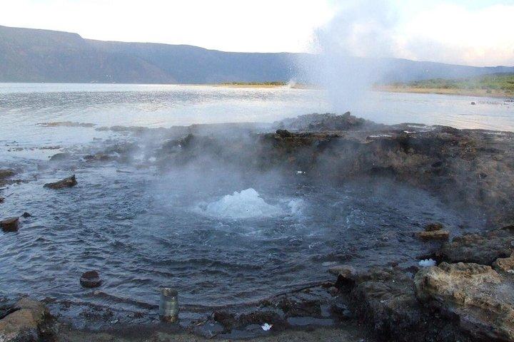 ナイロビ発ボゴリア湖とナクル湖2日間フラミンゴツアー