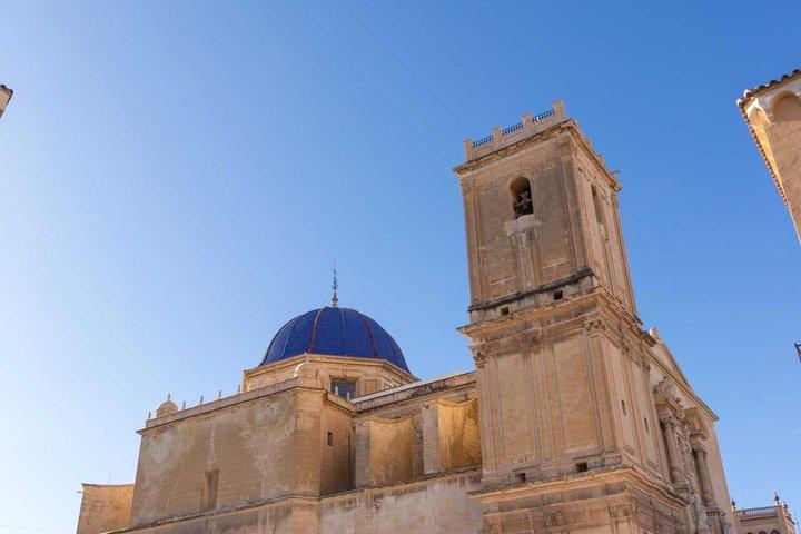 Visita cultural ao Palmeiral e ao Centro Histórico de Elche