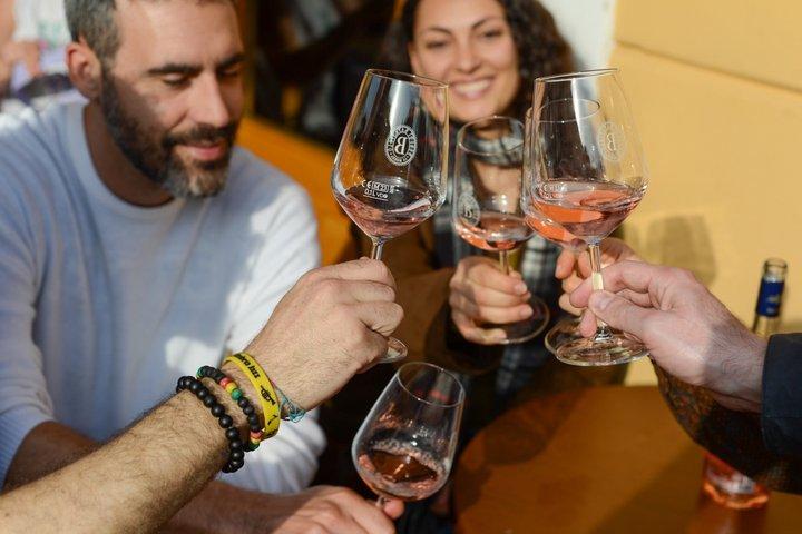 Weinwanderung mit einem lokalen Experten in Rom