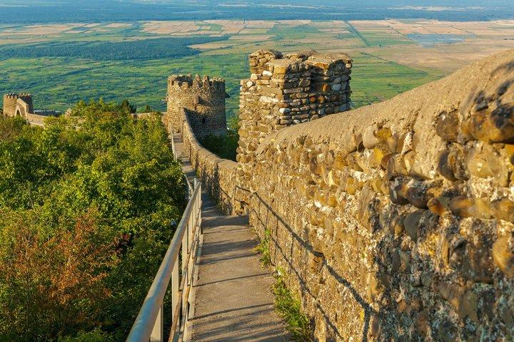 カヘティ・ワイン地域への日帰り旅行（9回のワインテイスティングを含む）