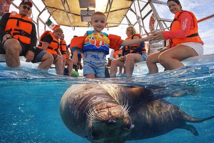 Passeio original de barco transparente em Cabo! Veja tudo em um tour!