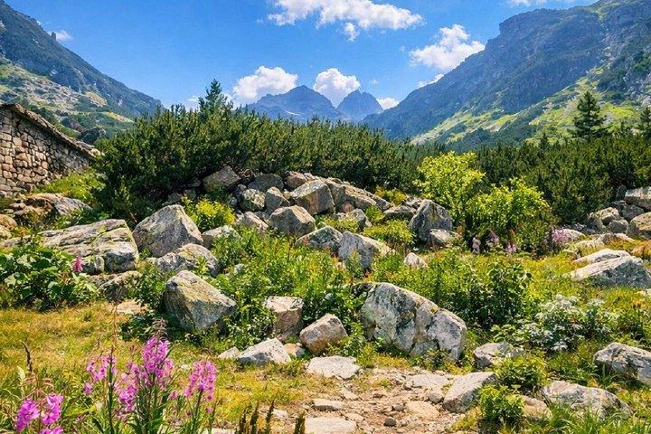 From Sofia: Rila Mountain Easy Hike and Optional Local Lunch
