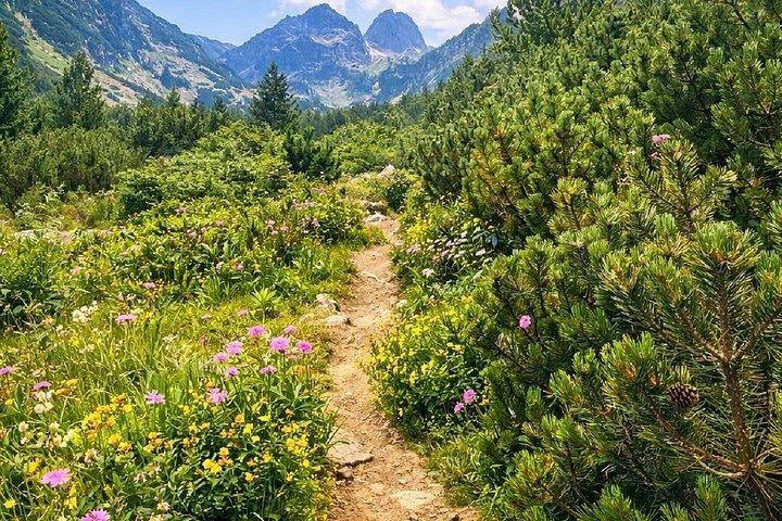 From Sofia: Rila Mountain Easy Hike and Optional Local Lunch
