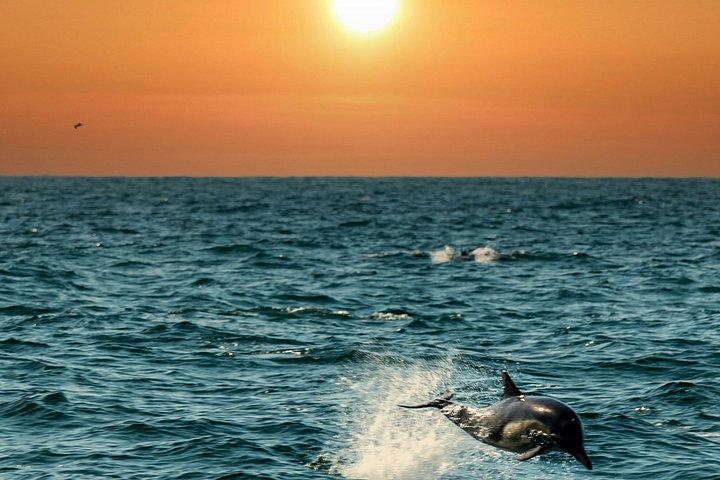 Bali Lovina Dolphin Wacthing, nuoto e snorkeling Tour