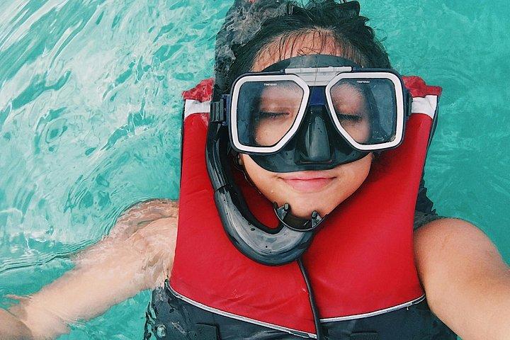 Bali Lovina Dolphin Wacthing, nuoto e snorkeling Tour