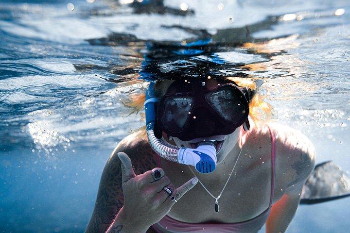 Bali Lovina Dolphin Wacthing, nuoto e snorkeling Tour