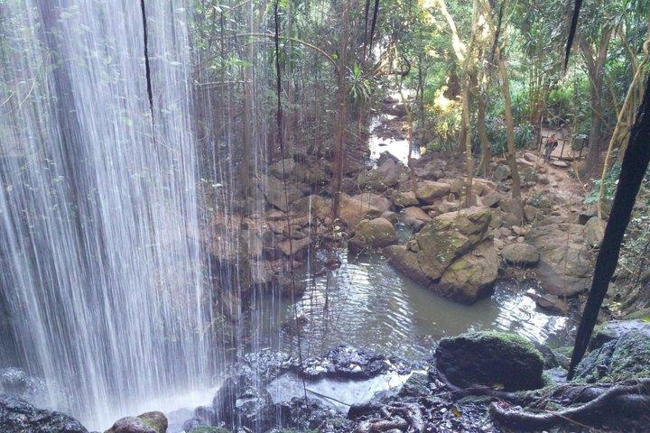 Fairview Coffee Farm Tour e grotta MauMau Paradiso perduto