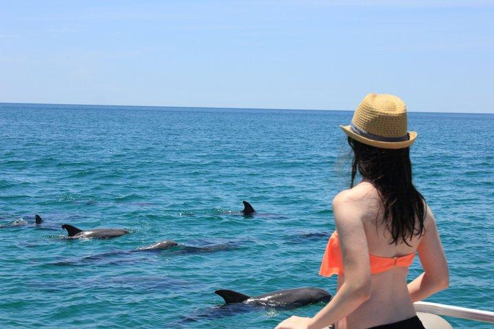 Panama City Beach Liten grupp Delfin- och Snorkeltur (Max 6 )